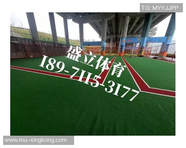 天然草皮足球场的造价分析与影响因素探讨 天然草皮足球场的造价分析与影响因素探讨