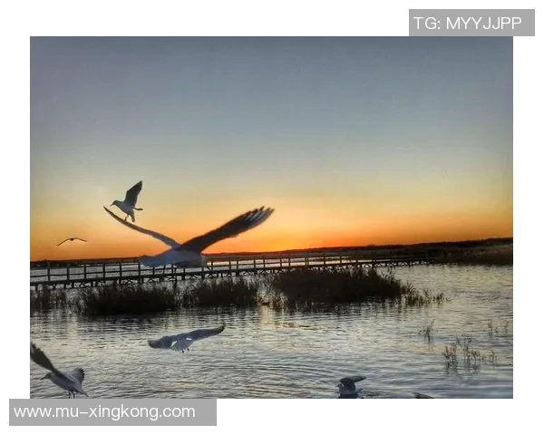 旧宫小学足球教练带领孩子们追逐梦想培养团队精神与竞技能力